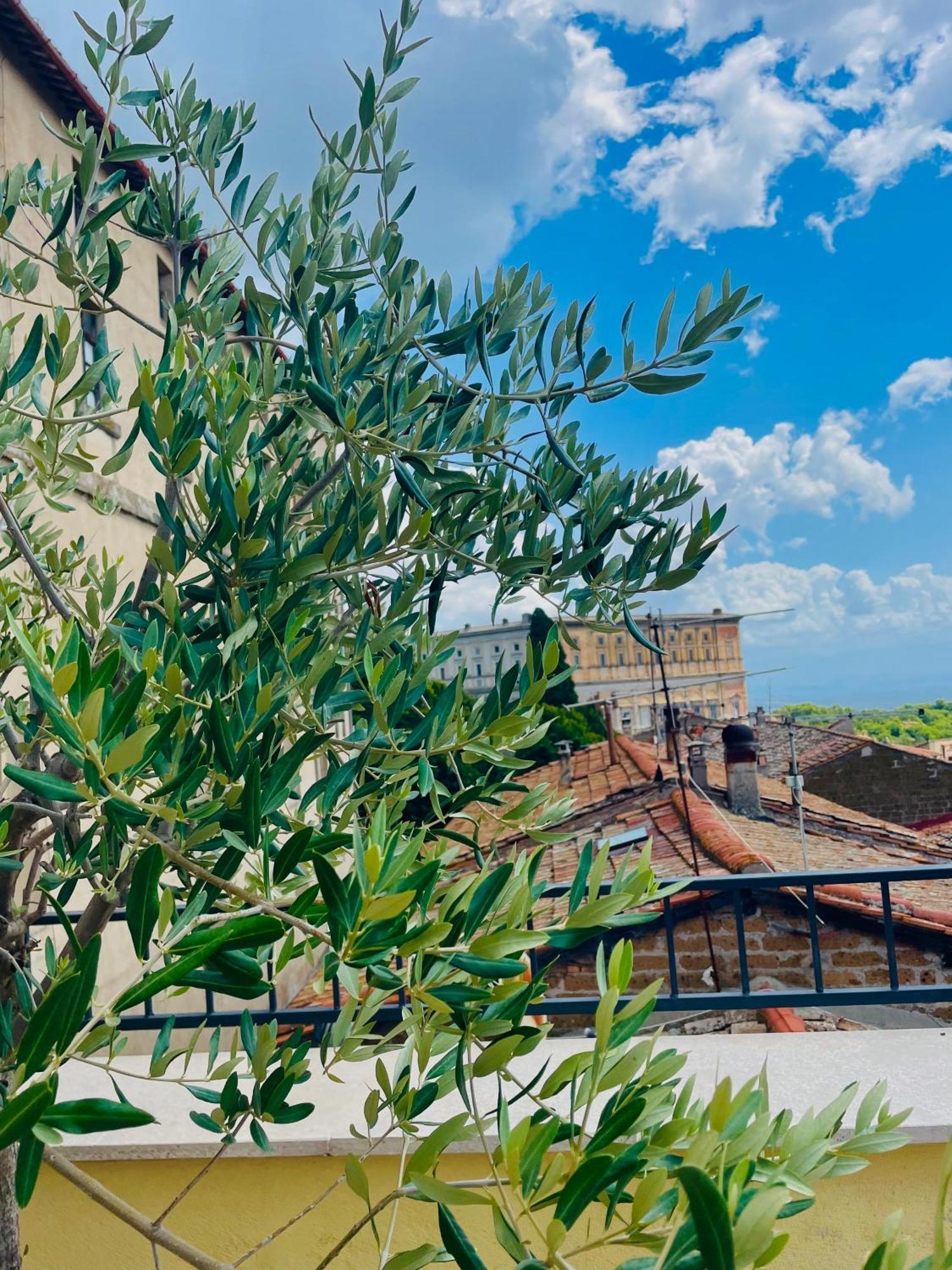 Casa Checca Appartamenti Per Vacanze Caprarola Exteriér fotografie